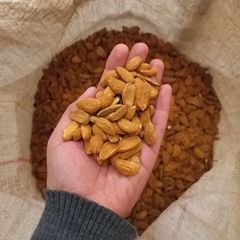 مغز بادام درختی ایرانی مامایی سایز متوسط 450 کیلویی