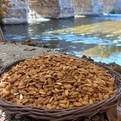 مغز بادام درختی ایرانی مامایی سایز درشت 100 کیلویی